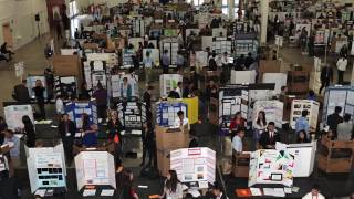 SF2014