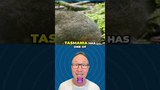 Watch out 👀 for #tasmania #wildlife 🦘when you out on a #roadtrip on the island