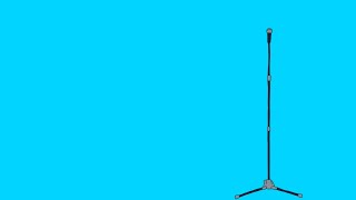 【Orangestar】ライブ会場で歌うテトちゃん