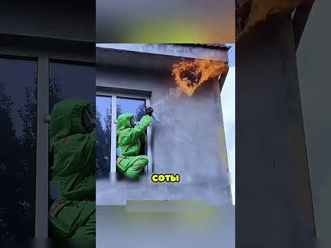 Огненные Брызги Уничтожили Пчелиный Улей 😮