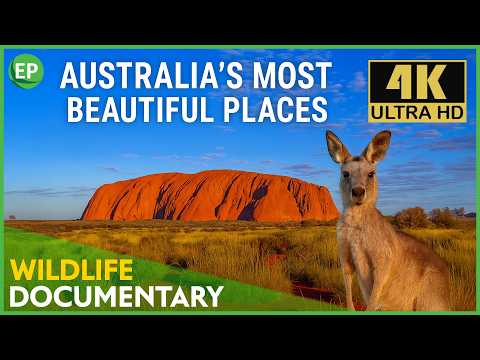 Australia's Most Beautiful Places 4K: Nature, Wildlife & National Parks Travel Documentary