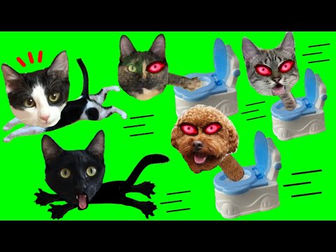 SKIBIDI TOILET PERO SON ANIMALES en la casa misteriosa de Luna y Estrella / Videos de Skibidi Toilet