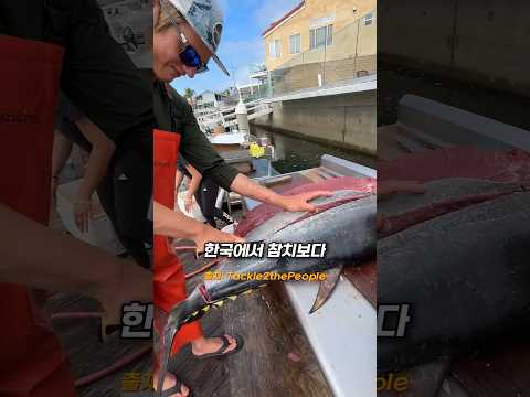 한국에선 밥도둑, 해외에선 잡어라고?