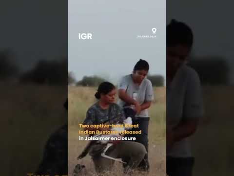Indian Union Minister Releases Two Captive-Bred Great Indian Bustards | IGR | India Global Review