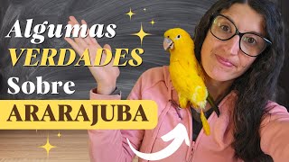 ARARAJUBA | Como EVITAR o ARRANCAMENTO de PENAS, qual MANEJO correto dessa AVE ?