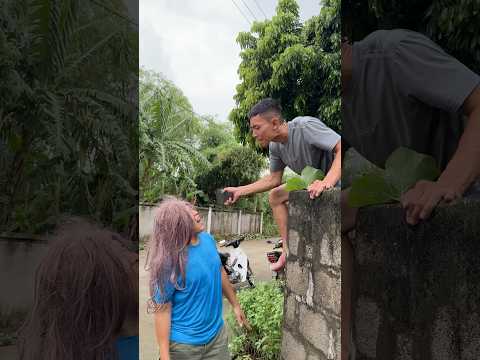 Chú Hưng Troll Không Vui Tý Nào #funny #hưngtivi #haihuoc