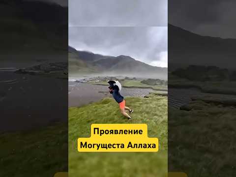 Проявление Могущеста Аллаха
