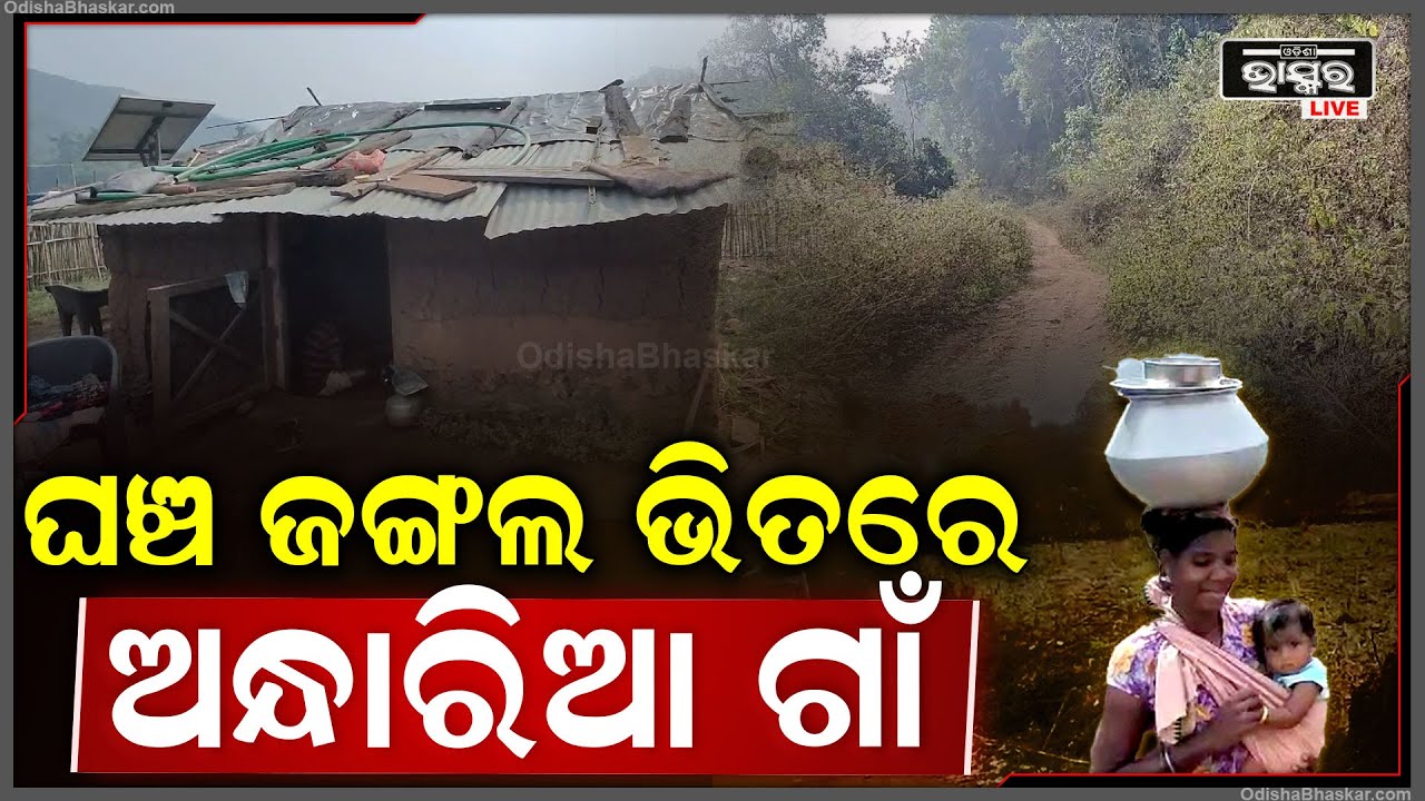 ଘଞ୍ଚ ଜଙ୍ଗଲ ଭିତରେ ୩୮ ପରିବାର, ମୌଳିକ ସୁବିଧାରୁ ଏବେ ବି ବଞ୍ଚିତ...ଦୁଃଖ ଶୁଣୁନି ସରକାର ପହଞ୍ଚିପାରୁନି ପ୍ରଶାସନ...
