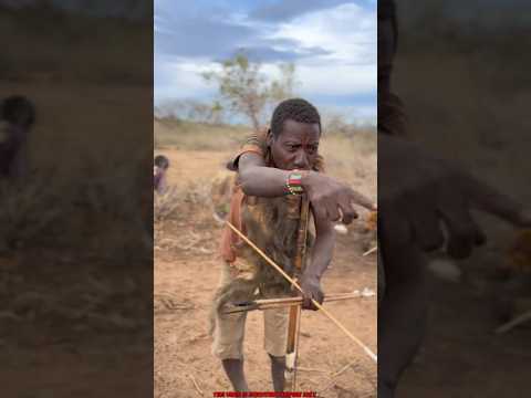 How do tribals live for 300 years?