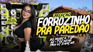 SET  FORROZINHO PRA PAREDÃO 2025 🔊 3.0 - SO AS MELHORES MUSICA PRA VC  ❤ 2025 - WM DO FORROZINHO🔥