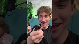 Don't Worry The Chicken Is Safe!