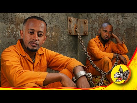 እራሱን በእሳት አቃጥሎ የተረፈው ... | ከአዲስ አባተ አንደበት #comedianeshetu #yidnal #addictionrecovery #ethiopia