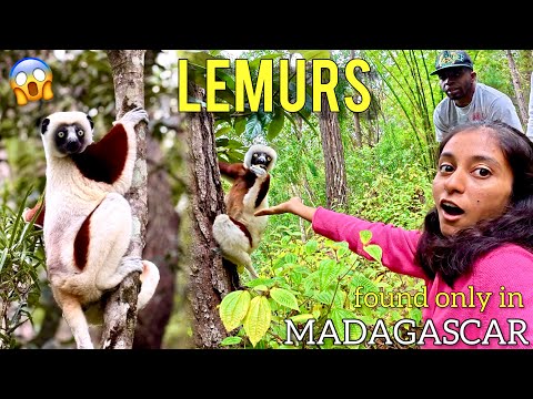 “Only COUNTRY with Endemic LEMURS on EARTH: Madagascar!" 😱🇲🇬 #SHOCKED!