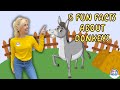 Fun Facts About Donkeys