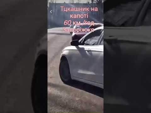 ТЦК на капоті Запоріжжя #тцк #мобілізація #адвокатнеклеса #юристонлайн
