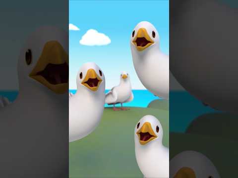 I Like to Move It Move It! 🕺🪩 | Leo the Wildlife Ranger | #shorts #animals #fun #dance