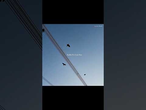 Zaya Sapne Zaya Apne | Faheem Abdullah | Sajde | Aesthetic Lyrics Status | Sad Status #sad #status