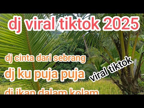 Dj viral tiktok 2025 enk di dengar 