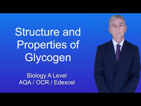 A Level Biology Structure and properties of glycogen