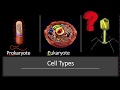 Viruses and Cell Types Overview