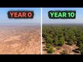 Great Green Wall Project Challenges
