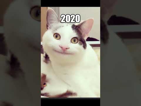 Famous Memes (Then Vs Now) 😓 #shorts #nostalgia #memes