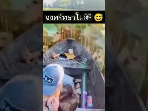 จงเชื่อมั่น เพราะสิริไม่เคยพลาด!?