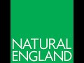Green Infrastructure Framework Concepts