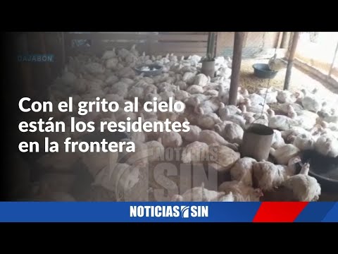 Escasez de pollo en la frontera preocupa a comerciantes