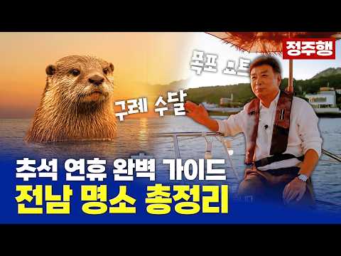 수달 실물 영접할 수 있는 구례부터 목포 맛기행까지! 전남광주 여행 코스 몰아보기 [테마기행길 추석특집 정주행]