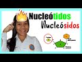 Bases Nitrogenadas y Nucleótidos
