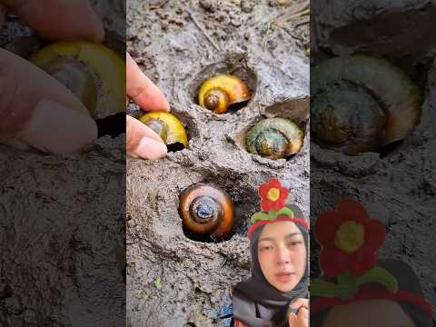 Kubur keluarga keong di lumpur‼️#trending #trendingshorts
