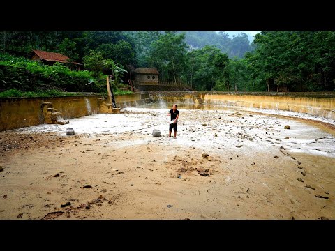 Lime sprinkled in empty pond—will my dream of raising thousands of fish succeed this time?