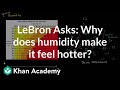Understanding Humidity and Its Effects