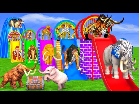 choose the right cage mammoth elephant tiger wolf bull paint animals crossing fountian long slide ga