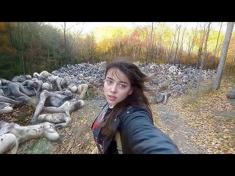 Incredible Moments Caught on Camera