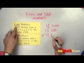Understanding Even and Odd Numbers