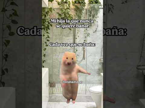 La lucha es real 😅 #yt #humor #babygear #meme