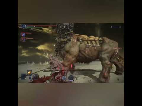 when you are the last hope!.  1v1 me horsy 💪💪. #eldenringnightreign #gaming #raider