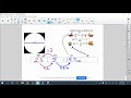 Understanding Circle Measurements