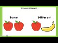 Counting and Listening Exercises