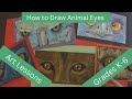 Art Techniques for Animal Eyes