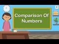Comparing Numbers and Their Values