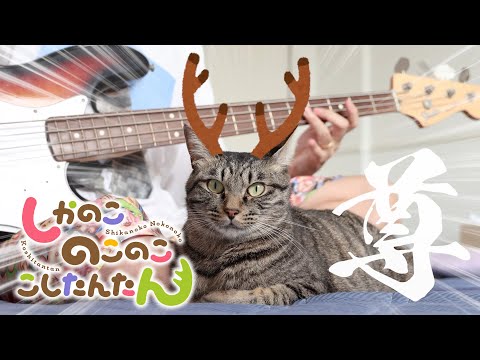 【保護猫を添えて】しかのこのこのここしたんたん『シカ色デイズ』ベース弾いてみた ( Bass Cover )