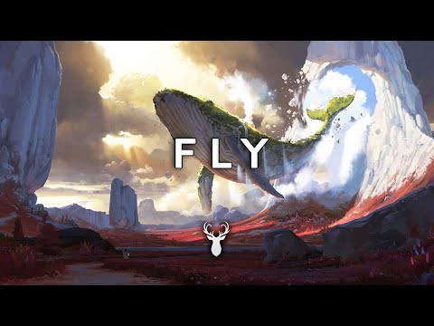 Fly | Chillstep Mix