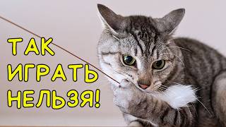 Как НЕЛЬЗЯ ИГРАТЬ С КОШКОЙ  - 6 опасных ошибок (ты точно их делал)