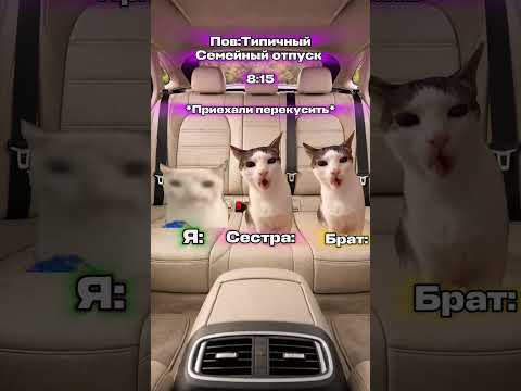 Типичный семейный отпуск🥳#котята #кот #котики #мем #шортс #cat #catmemes #видосыоткота #пжактив #fyp
