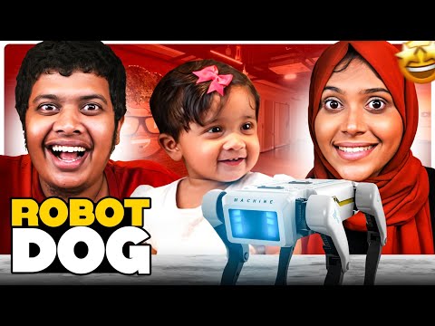 Robot Dog ! Unboxing With Ifa - Irfan's View