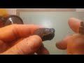 Characteristics and Reactions of Rocks