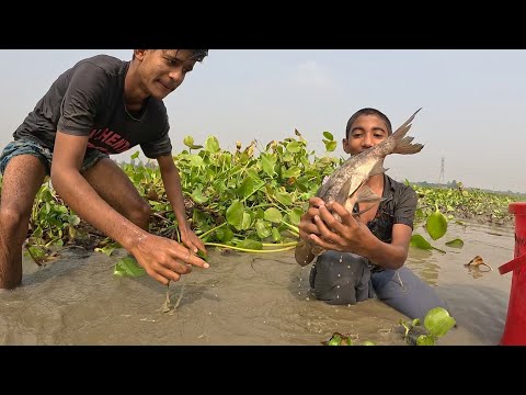 Traditional Boys Hand & Search Fishing Video | Village Big Fishing 2025 | #villagefish #bigfish